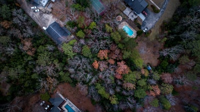 航空摄影的建筑物被树木包围在白天
